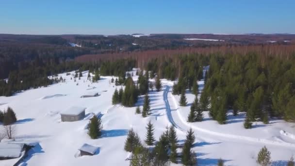 Vogelperspektive. Clip. Winterwald mit Schnee und hohen Tannen und Kiefern neben kleinen Häusern und Wegen für Menschen. — Stockvideo