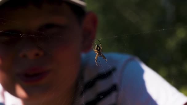 Een jongetje kijkt naar een spin op een zonnige dag. Creatief. Een kind in een pet kijkt naar een insect dat op een spinnenweb zit en zijn mond opent.. — Stockvideo