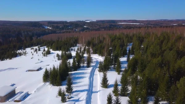 Vue d'oiseau-oeil. Clip. Forêt d'hiver avec neige et grands sapins et pins à côté de petites maisons et de sentiers pour les gens. — Photo