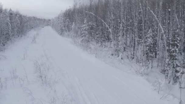 Winterliche Straße im Wald. Clip. Eine Straße mit viel Schnee, auf der eine Person auf einer elektrischen Schneekatze neben Eistannen fährt — Stockvideo