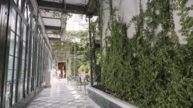 Botanik Müzesi 'nin içinde. Başla. Sarmaşık kaplı duvarları olan büyük bir binada koridor. Müze içinde veya botanik bahçesi binasında.