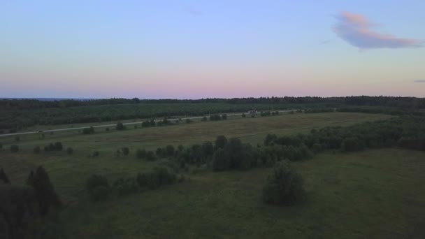 Paesaggio estivo da un drone. Clip. Un campo verde con piccoli cespugli accanto alla strada su cui viaggia un autobus e dietro una foresta e un cielo leggermente viola — Video Stock