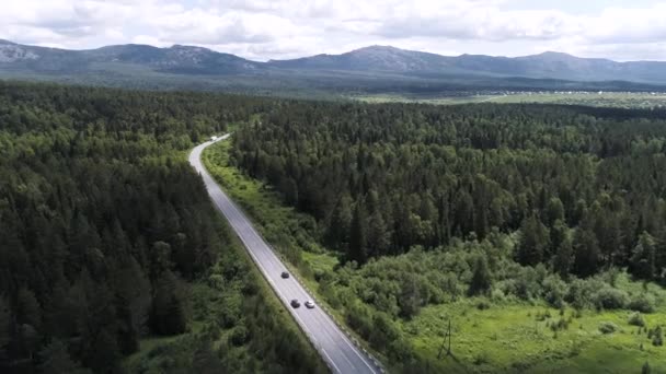 Musim panas yang indah alam dari sebuah drone. Adegan. Pemandangan indah dengan gunung-gunung yang indah, hutan hijau, jalan yang dilalui mobil dengan langit dan rumput cerah. — Stok Video