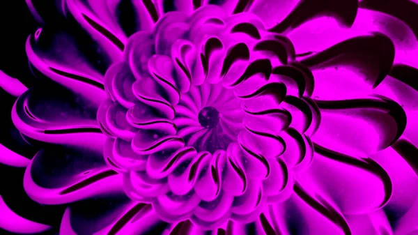 超现实的粉色透气开放了花蕾，产生了光学错觉效果，无缝循环。行动。在生长中的中心旋转着明亮的花瓣. — 图库照片