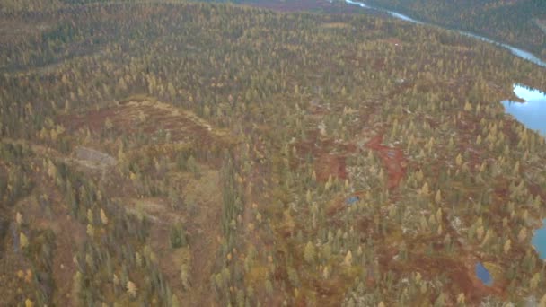 Letecký pohled na podzimní barevné lesy, jezera a bažiny pod zataženou oblohou. Klip. Kopcovitý terén, divoká příroda, Taiga, Rusko. — Stock video