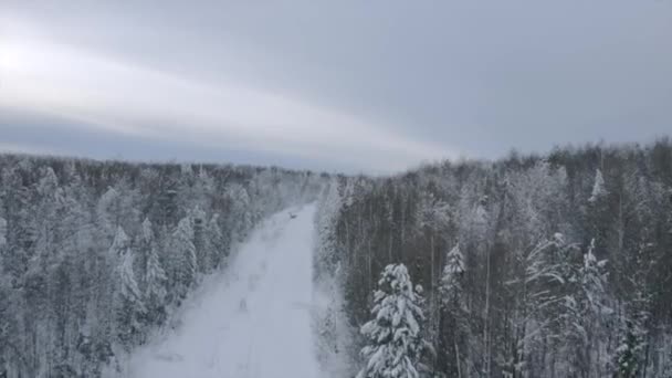 Winter in de bergachtige regio op een ijzige koude dag, sneeuwweg en dennenbos. Een knip. Lege landelijke weg en zware bewolkte lucht. — Stockvideo
