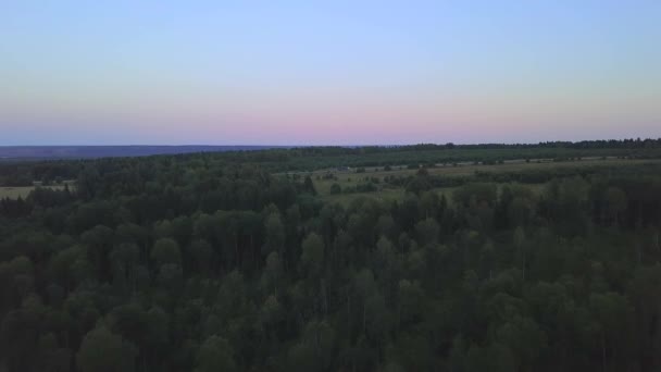 Vista aérea do drone sobre a floresta mista. Clipe. Voo acima de infinitas copas de árvores, paisagem natural no belo fundo do céu. — Vídeo de Stock