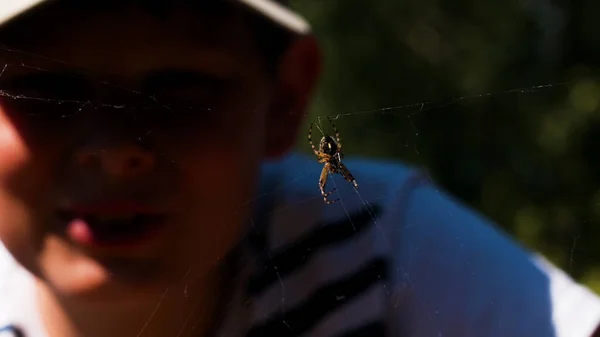 Un niño pequeño mira a una araña en un día soleado. Creativo. Un niño con gorra mira a un insecto que se sienta en una telaraña y abre la boca. — Foto de Stock