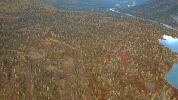 Αεροφωτογραφία του φθινοπώρου πολύχρωμο δάσος, λίμνες και βάλτους κάτω από το συννεφιασμένο ουρανό. Κλιπ. Χίλι έδαφος, άγριο φυσικό τοπίο, Τάιγκα, Ρωσία. — Φωτογραφία Αρχείου