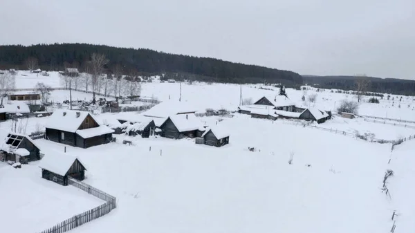 Pohled z ptačí perspektivy. Klip. Bílá vesnice ve sněhu s malými dřevěnými domky a vedle ní velký les s vysokými stromy — Stock fotografie