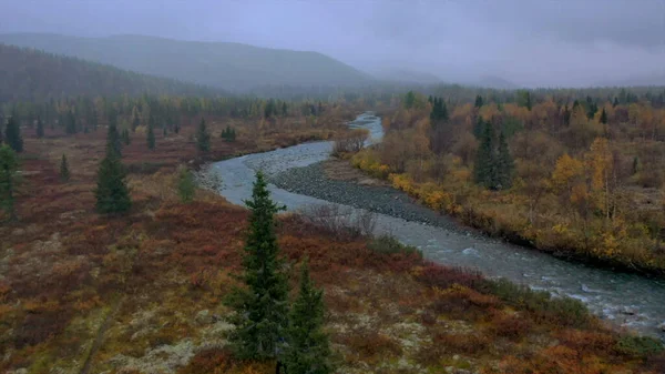 Belle nature d'un drone. Clip. Une rivière claire à côté d'une forêt avec de grands sapins et des pierres coule dans la direction de — Photo