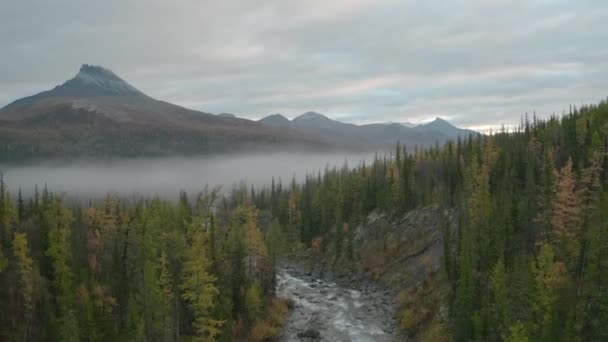 Top view of forest landscape with river and mountains with fog. Clip. Beautiful cloudy day over forest valley with river and mountains. Mountain river in forest area and fog — 图库视频影像