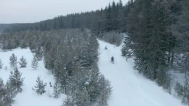 İki kar motosikleti yarışı. Şarjör. Orman bölgesindeki hızlı kar araçlarının en üst görüntüsü. İki kar aracı kış mevsiminde orman yakınlarında yol boyunca yol alıyor.
