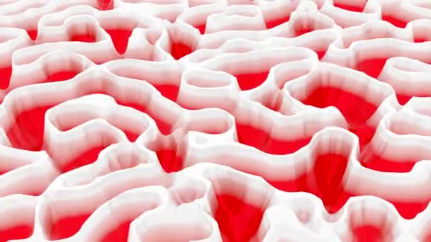 Αφηρημένη πολύχρωμη βιολογική διαδικασία διαίρεση κυττάρων, αδιάλειπτη βρόχο. Σχέδιο. Έννοια της μικροβιολογίας με κινούμενα σχήματα. — Αρχείο Βίντεο