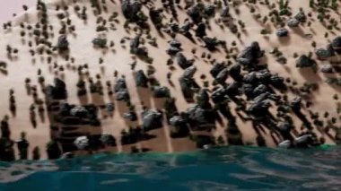 Kumlu sahilde uzanan siyah taşlı soyut deniz arka planı. Animasyon. Mavi dalgalarla yıkanan mercan resifi.