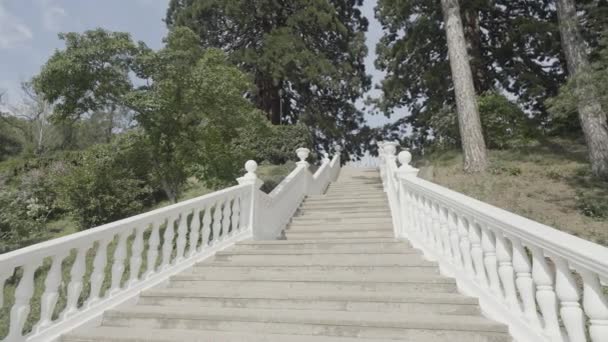 Bottom view of beautiful staircase leading to green trees. Action. Summer landscape with green bushes and white staircase. — Vídeo de Stock
