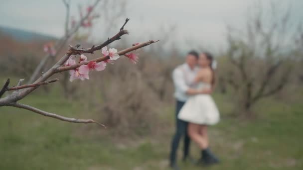 Beautiful couple embraces in spring garden. Action. Couple of newlyweds enjoy first leaves and flowers in garden in spring. Couple embraces in blooming garden in early spring — Stock Video