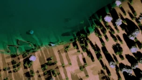 Bovenaanzicht op 3d bebost strand met bomen en blauw water. Animatie. Mooi naturalistisch model van strand met turquoise water. Prachtige 3D animatie van kust met bomen en blauw water — Stockvideo
