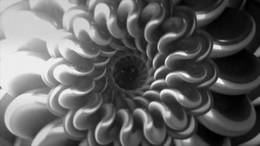 Gri monokrom çiçekli spiral şekiller döngülü animasyon arka planında. Hareket. Siyah ve beyaz fraktalları dönüştürüyor.