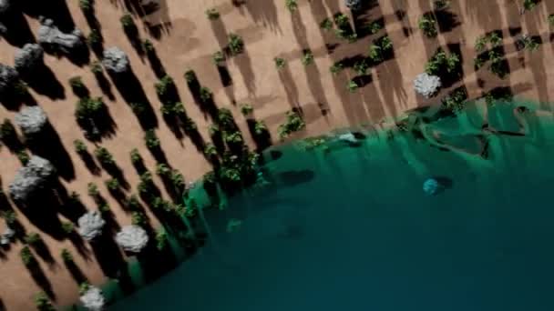 Πάνω άποψη της 3d δασωμένη παραλία με δέντρα και μπλε νερά. Κινούμενα σχέδια. Όμορφο νατουραλιστικό μοντέλο παραλίας με τυρκουάζ νερά. Όμορφη 3D animation της ακτής με δέντρα και μπλε νερά — Αρχείο Βίντεο