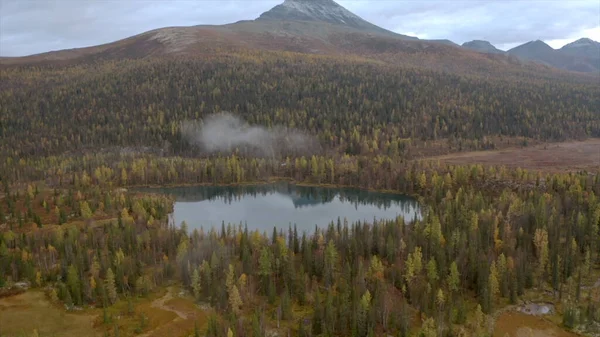 Κάτοψη της λίμνης στο δασικό μέρος στο φόντο του βουνού. Κλιπ. Όμορφο τοπίο με μικρή λίμνη στο δάσος και βουνό στον ορίζοντα. Δάσος, λίμνη και βουνό σε συννεφιασμένη μέρα — Φωτογραφία Αρχείου