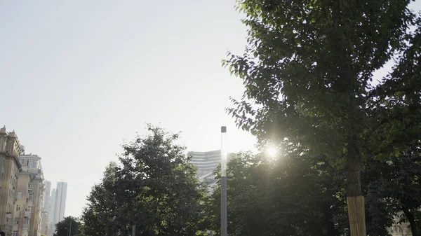 Vista inferior de los verdes árboles de verano con la luz del sol brillando a través de ramas con hojas verdes. Acción. Verano ciudad parque y edificios. — Foto de Stock
