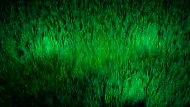 Abstract visualization of underwater world with moving algae, seamless loop. Design. Green seaweed background. — Video Stock