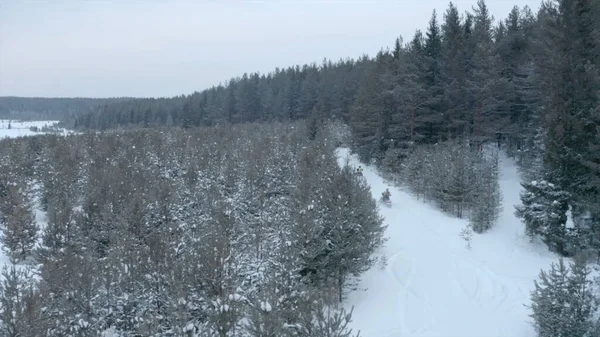 Race of two snowmobiles. Clip. Top view of fast-moving snowmobiles in forest area. Two snowmobiles are driving along road near forest in winter — 图库照片