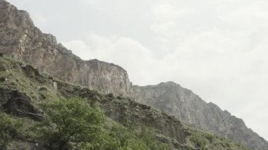 Yeşil bitkileri ve yosunları olan güzel kayalar. Başla. Taşlı dağlar ve yeşil bitki örtüsü. Yeşillik çeşitliliğiyle güzel kayalık manzaralar