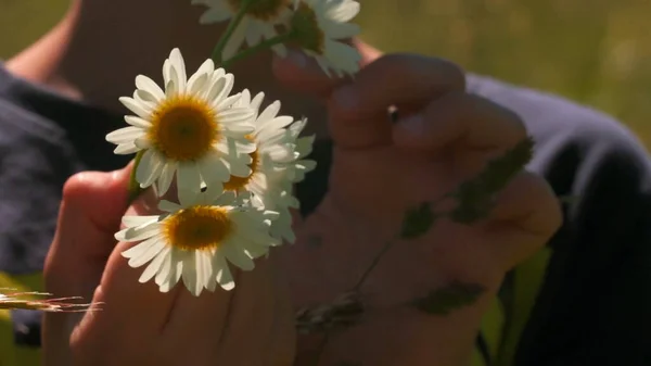 子供たちは畑でデイジーを手に持っています。創造的だ。白い花弁と黄色の芽を持つ夏の花の花束を保持している少年の終わり. — ストック写真