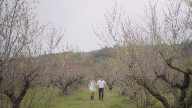Güzel bir çift bahar bahçesinde koşar. Başla. Genç çift baharda ağaçların doğal caddesinde koşar. Bulutlu havada, bahar ağaçları arasında yeşil çimlerde koşan çift