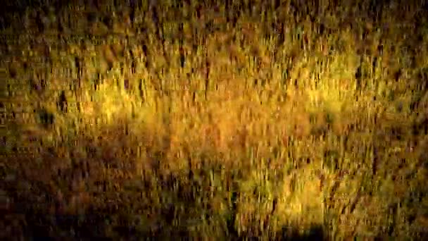 Yellow abstraction. Design. Bright yellow lines waver like grass in 3d. — Video Stock