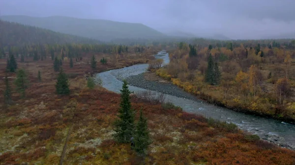 Όμορφη φύση από ένα drone. Κλιπ. Ένα καθαρό ποτάμι δίπλα σε ένα δάσος με ψηλά έλατα και πέτρες ρέει προς την κατεύθυνση της — Φωτογραφία Αρχείου