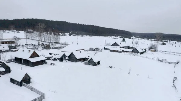 Pohled z ptačí perspektivy. Klip. Bílá vesnice ve sněhu s malými dřevěnými domky a vedle ní velký les s vysokými stromy — Stock fotografie