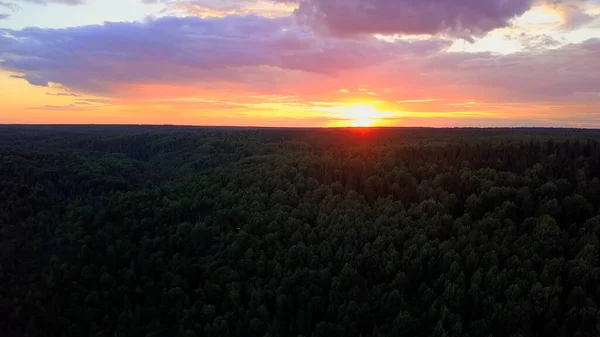 Schöne Natur des Himmels aus der Vogelperspektive. Clip. Ein wunderbarer und heller Sonnenuntergang über einem Wald mit violetten Wolken und einer gelben Sonne. — Stockfoto