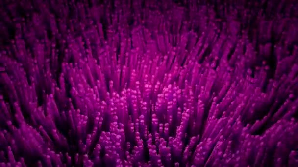 Alga subacquea rosa astratta in movimento ondeggiante, anello senza soluzione di continuità. Progettazione. Alghe subacquee. — Video Stock