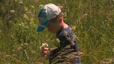 Çocuk papatya topluyor. Yaratıcı. Şirin çocuk bir buket kır çiçeği topluyor. Yakışıklı çocuk güneşli bir günde tarlada papatya topluyor.