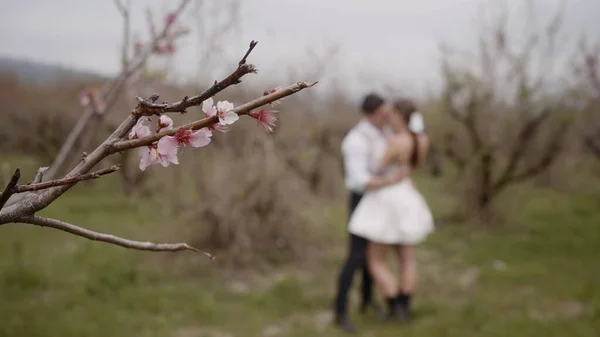 Fotoshooting auf dem Hintergrund einer Orchidee.Aktion. Braut und Bräutigam in einem kurzen weißen Kleid und Schleier, die sich neben einem Baum mit rosa Blumen küssen und streicheln archidea — Stockfoto