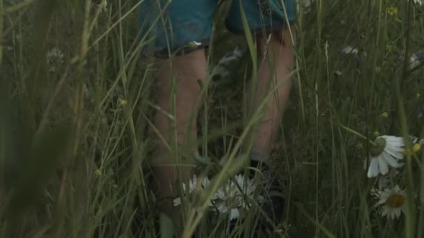 El niño feliz cruza el campo en el parque. Creativo. Un niño pequeño sobre fondo natural de verano corriendo entre la hierba larga. — Vídeo de stock