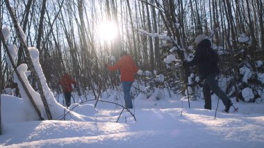 Ormanda kayak yapan insanlar, spor anlayışı ve aktif yaşam tarzı. Yaratıcı. Kışın kayak yapan insanlar Parlayan güneşli karlı ormanlarda.