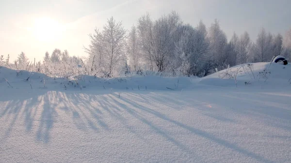 Scenic sneeuwveld in de winter, bevroren natuur. Creatief. Winterlandschap met ijzige struiken en bomen in de zonnige ochtend, rustige winternatuur in zonlicht. — Stockfoto