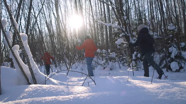 Pessoas em uma caminhada de esqui florestal, conceito de esporte e estilo de vida ativo. Criativa. Pessoas esquiando na floresta nevada de inverno com sol brilhante. — Fotografia de Stock