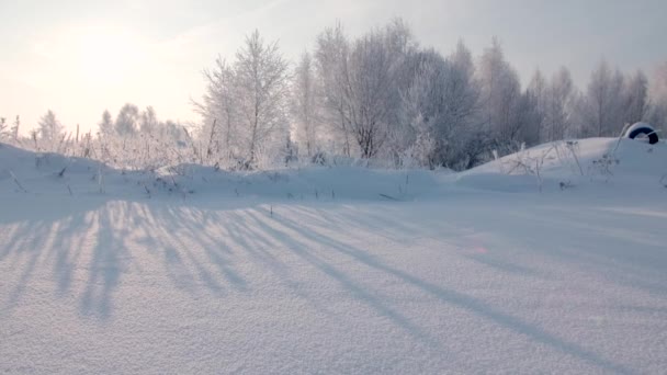 Natursköna snöfält på vintern, frusen natur. Kreativ. Vinterlandskap med frostiga buskar och träd på den soliga morgonen, lugn vinternatur i solljus. — Stockvideo