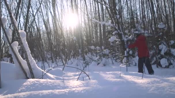 Lidé na lesní lyžařské procházce, koncepce sportu a aktivního životního stylu. Kreativní. Lidé lyžují v zimě zasněžený les se zářícím sluncem. — Stock video