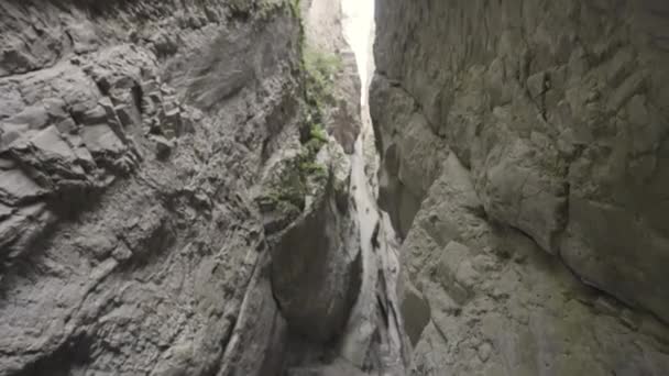 Geological formation with a very narrow passage. Action. Bottom view of the stone gorge with greenery. — Stock Video