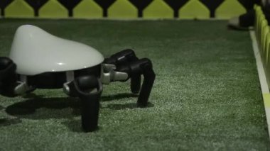 Örümcek robota yakın çekim. HDR. Çocuklarla oynamak için hareket eden sayborg örümceği. Robotların geliştirilmesi ve cyborgların oluşturulması