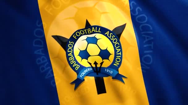 Barbados Futbol Federasyonu onuruna bir bayrak. Hareket. Ortasında futbol topu olan parlak mavi ve sarı kumaş. Sadece yazı işleri için kullan. — Stok video
