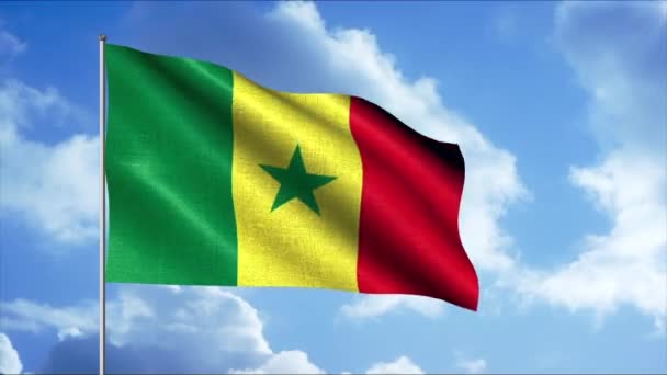 Flaga Kamerunu. - Wniosek. Flaga Tricolor składający się z zielonego żółtego i czerwonego z zieloną gwiazdą w środku. — Wideo stockowe
