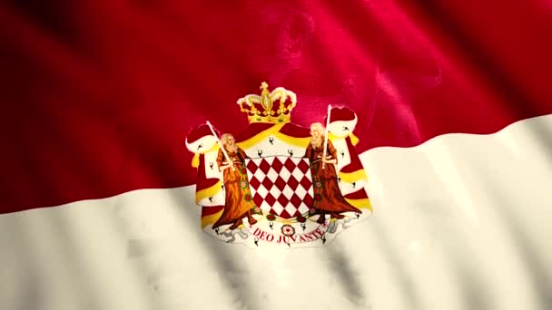 Monaco címerét. Mozgás. Monaco fényes nemzeti szimbóluma a vásznon. — Stock videók