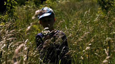 Gözleri uzun otların arasında kapalı duran küçük bir robotun portresi. Yaratıcı. Çayırda bir çocuk Rüzgarda sallanan çimlerle.